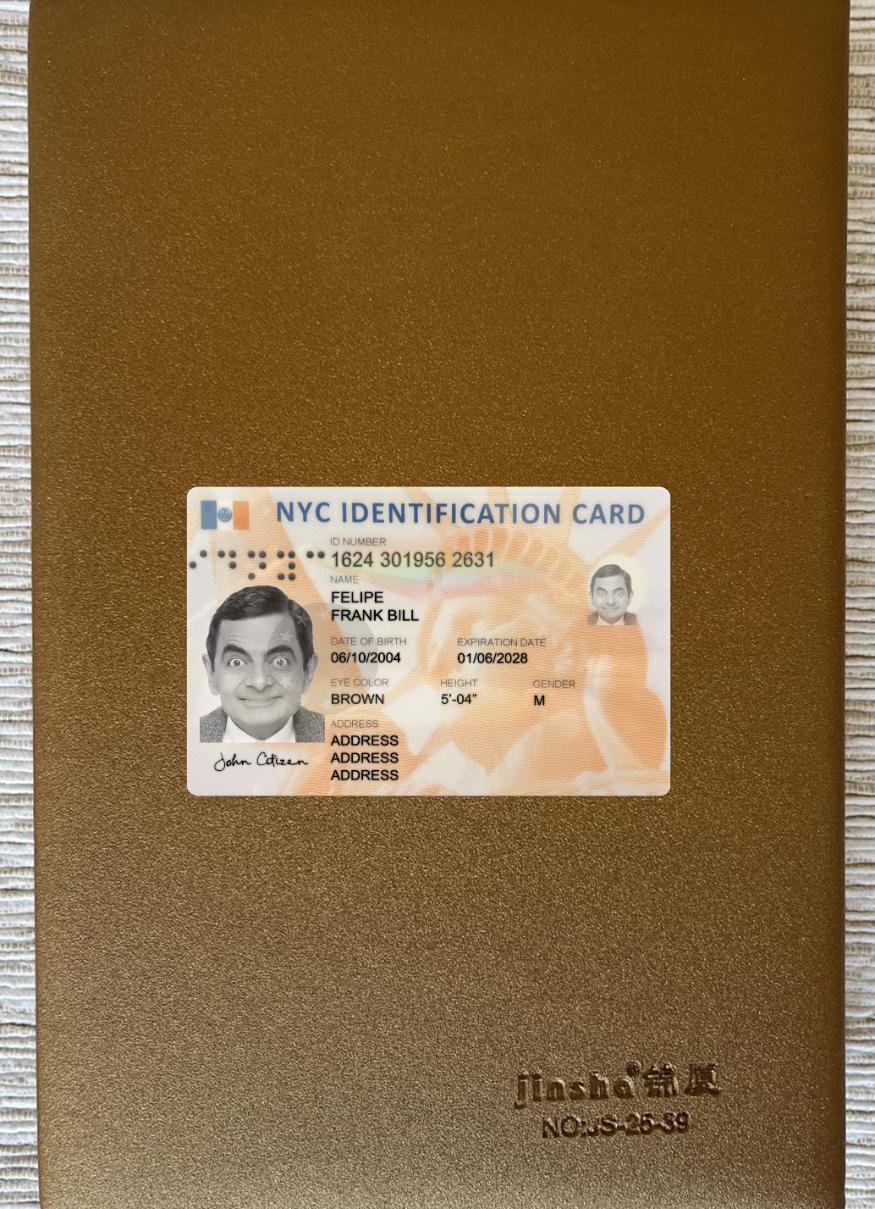 Printable USA New York identification card photolook sample